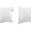 Lot De 2 Oreillers Epeda Aloe Vera Confort Ferme Anti-acariens 65x65