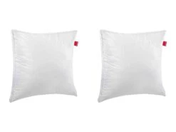 Lot De 2 Oreillers Epeda Aloe Vera Confort Ferme Anti-acariens 65x65