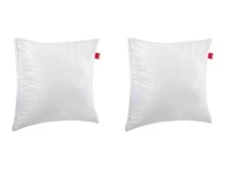 Lot De 2 Oreillers Epeda Aloe Vera Confort Moelleux Anti-acariens 65x65