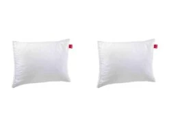 Lot De 2 Oreillers Epeda Aloe Vera Confort Moelleux Anti-acariens 50x70