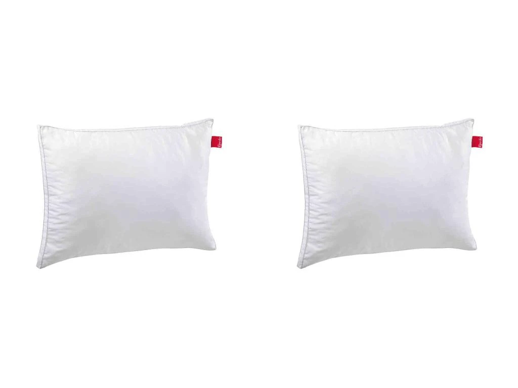 Lot De 2 Oreillers Epeda Aloe Vera Confort Moelleux Anti-acariens 50x70 1 Lot De 2 Oreillers Epeda Aloe Vera Confort Moelleux Anti-acariens 50x70