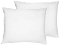 Lot De 2 Oreillers En Plumes Et Duvet De Canard 50 X 60 Cm KHARTAPHU