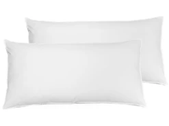 Lot De 2 Oreillers En Plumes Et Duvet De Canard 40 X 80 Cm KARIJANG