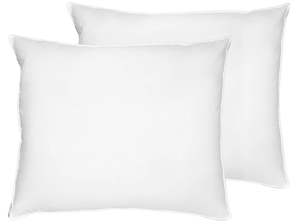 Lot De 2 Oreillers En Plumes Et Duvet De Canard 50 X 60 Cm KARIJANG 1 Lot De 2 Oreillers En Plumes Et Duvet De Canard 50 X 60 Cm KARIJANG