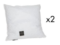 Lot De 2 Oreillers JEAN LOUIS SHERRER Mémoire De Forme 60 X 60 Cm SELENE