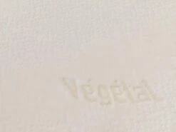 Lot De 2 Oreillers DODO Ergonomiques à Mémoire De Forme - 60x60 Cm - VEGETAL -Literie Magasin oreiller 439831