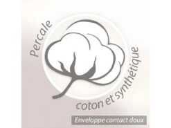 Oreiller 60x60 Cm GRIZZ'LIT FLOTEX Fibre Creuse Polyester -Literie Magasin oreiller 8952207