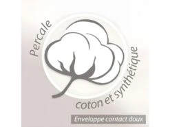 Oreiller 40x60 Cm GRIZZ'LIT FLOTEX Fibre Creuse Polyester -Literie Magasin oreiller 8952503