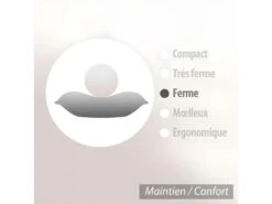 Oreiller 75x50 Cm GRIZZ'LIT FLOTEX Fibre Creuse Polyester 16 Oreiller 75x50 Cm GRIZZ'LIT FLOTEX Fibre Creuse Polyester -Literie Magasin oreiller 8952525