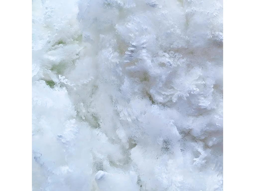 BELLECOUR LITERIE | Lot De 4 Oreillers 60x60 Cm ALASKA | Fibres Creuses Polyester | Mi-ferme 2 BELLECOUR LITERIE | Lot De 4 Oreillers 60x60 Cm ALASKA | Fibres Creuses Polyester | Mi-ferme – Image 2