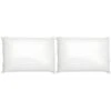 Lot 2 Oreillers Mémoire De Forme Extra Doux Et Satiné 40x60cm - SUENO