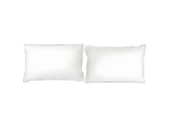 Lot 2 Oreillers Mémoire De Forme Coton Et Duvet Canard 40x60cm - PLUMA