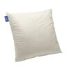Oreiller Coton Lin Thermorégulateur - Confort Moelleux - 60x60cm